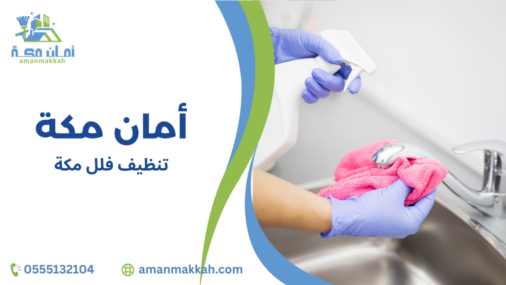 أهمية التنظيف الاحترافي للفلل